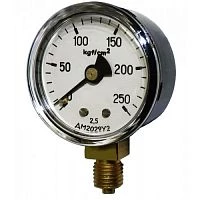 ДМ2029 250 кгс/см2 кл.2,5 М12х1,5 УТ000005374