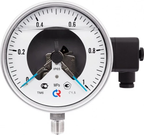 ТМ-621Р.05(0-0,6)MPa.М20х1,5.1,5 ЭКМ исп.V  СИЛИКОН УТ000008742