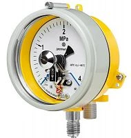ДМ2005ф Сг1Ехd КС 2,5 МПа кл.1,5 исп V  УТ000017116