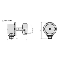 ДП-2.1.7РМ-15В Датчик пламени УТ000001546