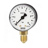 111.10.063 10 bar кл.2,5 G1/4" Корпус пластик УТ000003882
