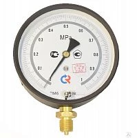 ТМ-610РМТИ.00(0-16)MPa.M20х1,5.0,6  ЗП УТ000010411